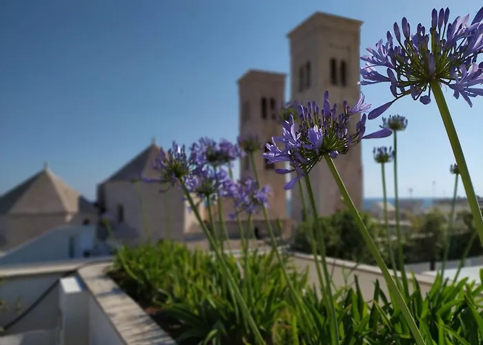 מלון Dogana מולפטה